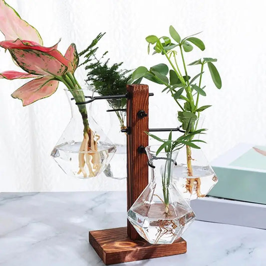 Kit Modern Air Planter Bulb Glass Vase With Wooden Stand Bulb Beaker