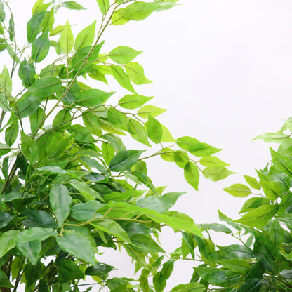Tall Artificial Ficus Tree with Planter 160/180cm – Lifelike Potted Faux Ficus