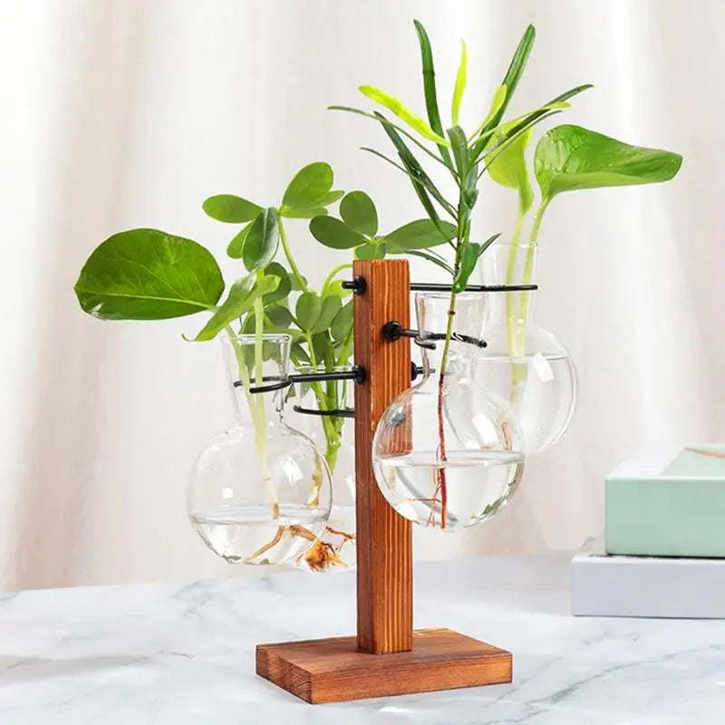 Kit Modern Air Planter Bulb Glass Vase With Wooden Stand Bulb Beaker