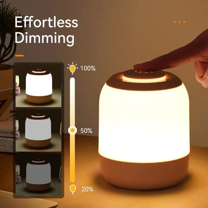 LED Night Light Touch Lamp